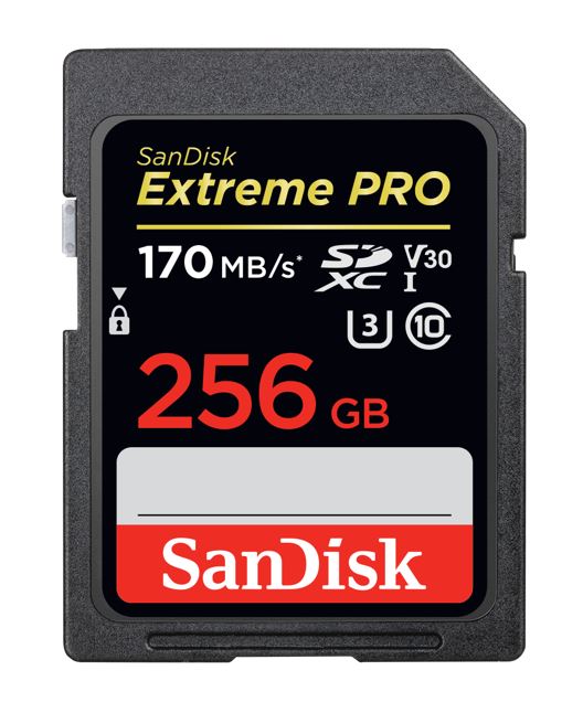 SanDisk 256GB Extreme PRO Memory Card 170MB/s Full HD & 4K UHD Class 30 Speed Shock Proof Temperature Proof Water Proof (LS> SDSDXXD-256G-GN4IN) SDSDXXY-256G-GN4IN