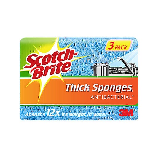 SB Thick Sponge Lge Pk3 Bx8  - AN019460011