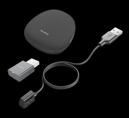 Yealink Portable Accessory Kit for WH62/66, Carry Case, Charging Cable, WDD60 DECT Dongle PAK-WH62/66
