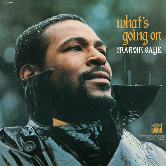 Marvin Gaye What's Going On - Vinyl Album UM-5353423
