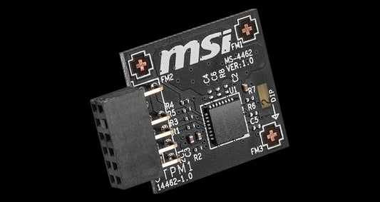 MSI TPM 2.0 Module (MS-4462) SPI Interface, 12-1 Pin, Supports MSI Intel 400 Series Motherboards and MSI AMD 500 Series Motherboards TPM 2.0 (MS-4462)