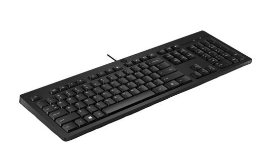 HP 125 Wired Keyboard - Compatible with Windows 10, Desktop PC, Laptop, Notebook USB Plug and Play Connectivity, Easy Cleaning 1YR WTY 266C9AA