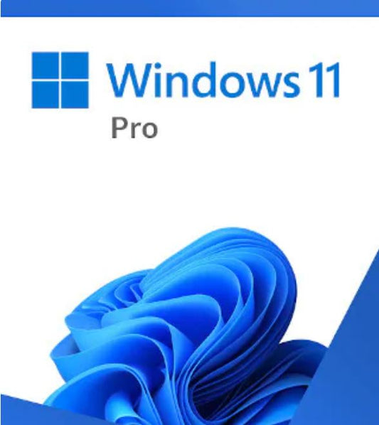 Microsoft Windows 11 Professional Retail 64-bit USB Flash Drive HAV-00163